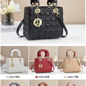 Cute Christian Dior Ladies Bag