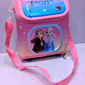 Insulated Frozen Lunch Bags