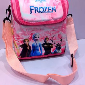 Insulated Frozen Lunch Bags 2