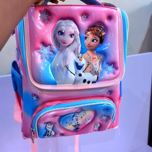 Insulated Frozen School Bag