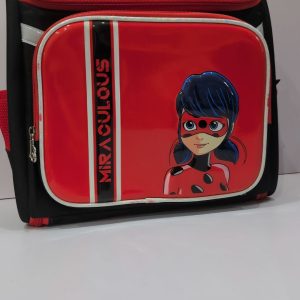 Insulated Lady Big School Bags